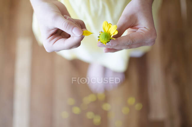 Mulher segurando uma flor em suas mãos — Fotografia de Stock