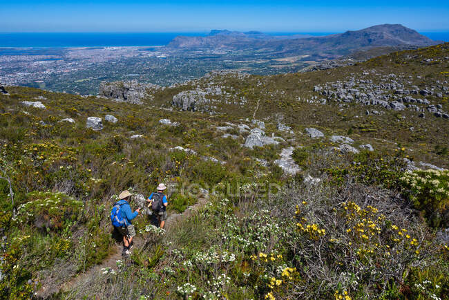 Due uomini trekking, Table Mountain National Park, Città del Capo, Western Cape, Sud Africa — Foto stock