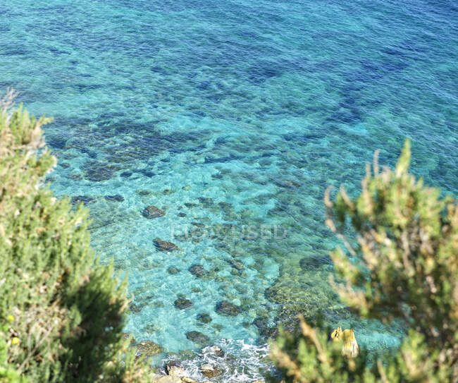 Красива морська вода з зеленими водоростями на пляжі — стокове фото