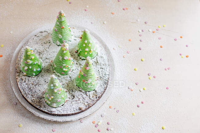 Christmas tree with green leaves and fir branches on a white background. — Stock Photo