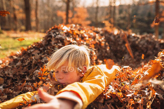 Мальчик, играющий в кучу осенних листьев, США — стоковое фото