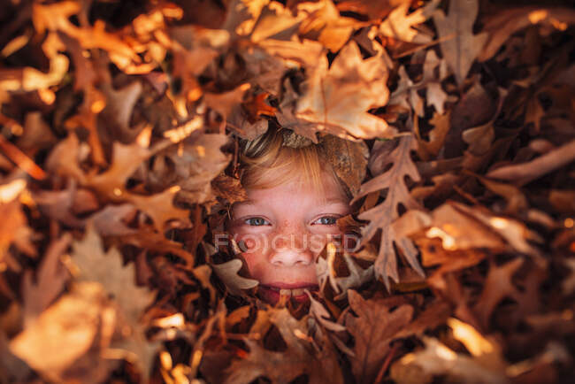 Ragazzo sepolto in una pila di foglie autunnali, Stati Uniti — Foto stock