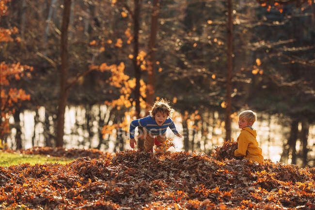 Due ragazzi che giocano in un mucchio di foglie, Stati Uniti — Foto stock