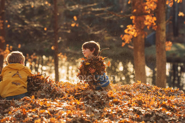 Due ragazzi che giocano in un mucchio di foglie, Stati Uniti — Foto stock