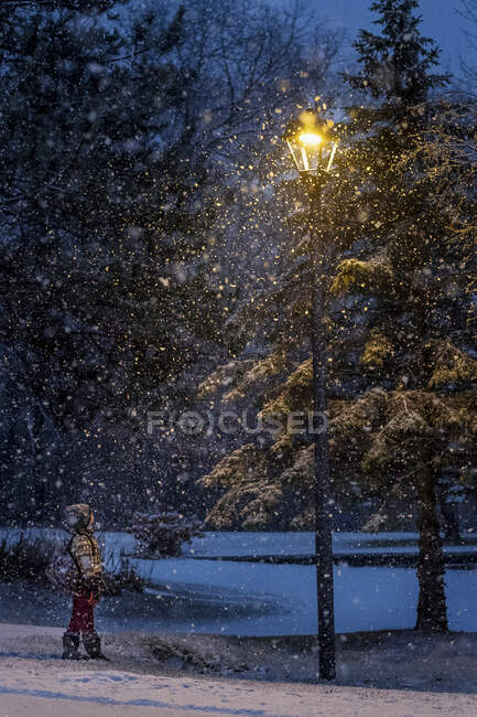 Boy standing in a snow storm looking up at a street lantern, Estados Unidos — Fotografia de Stock