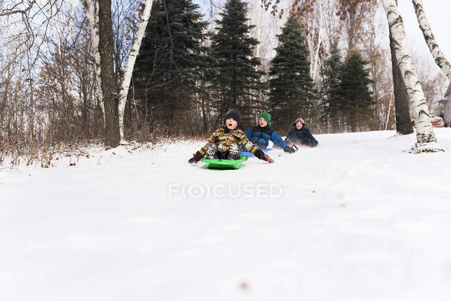 Three boys sledging in woodland, Wisconsin, Estados Unidos — Fotografia de Stock