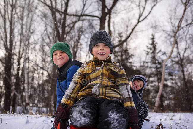Retrato de três crianças sentadas em um trenó, Wisconsin, Estados Unidos — Fotografia de Stock