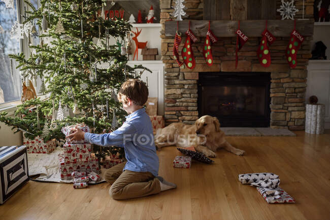 Niño desempacar regalo y perro descansando en el interior decorado de Navidad - foto de stock