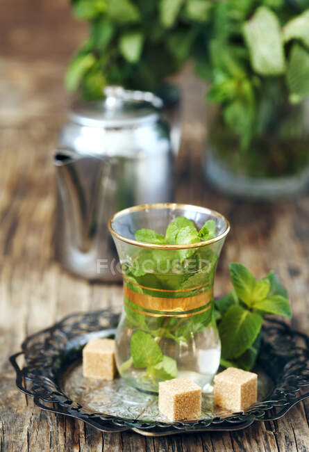 Мятный чай с кубиками сахара — стоковое фото