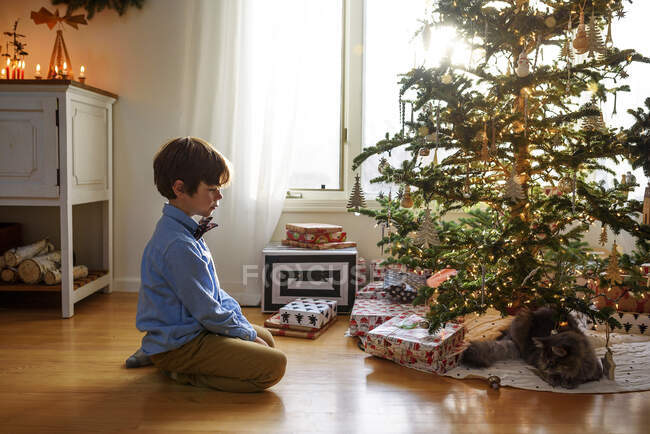 Мальчик сидит на полу и смотрит на рождественскую елку. — стоковое фото