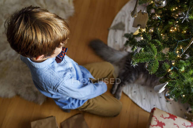 Garçon agenouillé près d'un arbre de Noël jouant avec son chat — Photo de stock