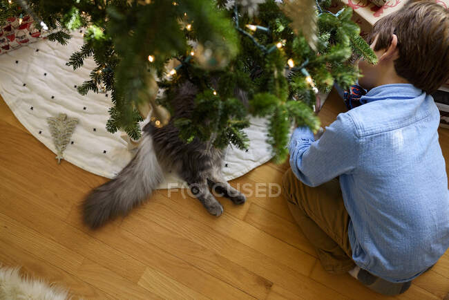 Niño arrodillado junto a un árbol de Navidad jugando con su gato - foto de stock