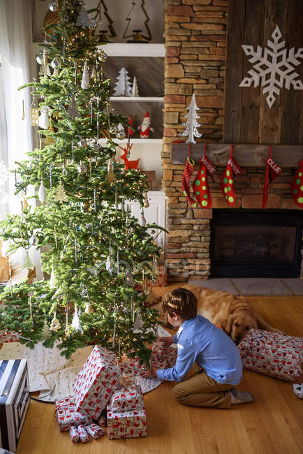 Junge kniet vor Weihnachtsbaum und betrachtet Geschenke — Stockfoto