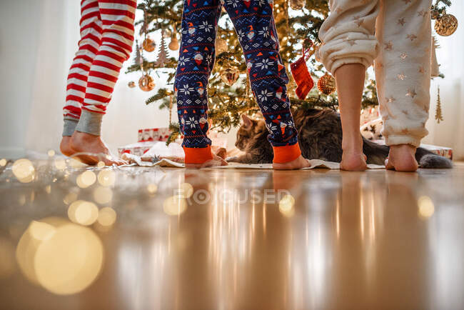 Close-up of three children's legs and a cat while decorating a Christmas tree — Stock Photo