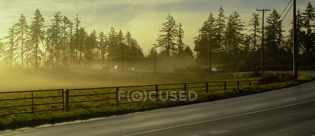 Машины, проезжающие мимо туманного поля утром, Канада — стоковое фото