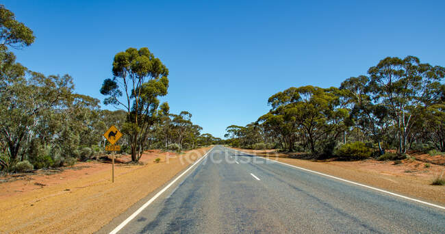 Señal de advertencia de camello por una carretera en el interior, Australia Occidental, Australia - foto de stock