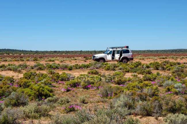 4x4 parcheggiata nel paesaggio desertico, Northern Goldfields, Australia Occidentale, Australia — Foto stock