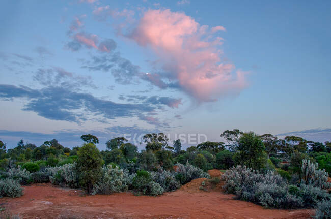 Wüstenlandschaft bei Sonnenuntergang, Pilbara, Westaustralien, Australien — Stockfoto