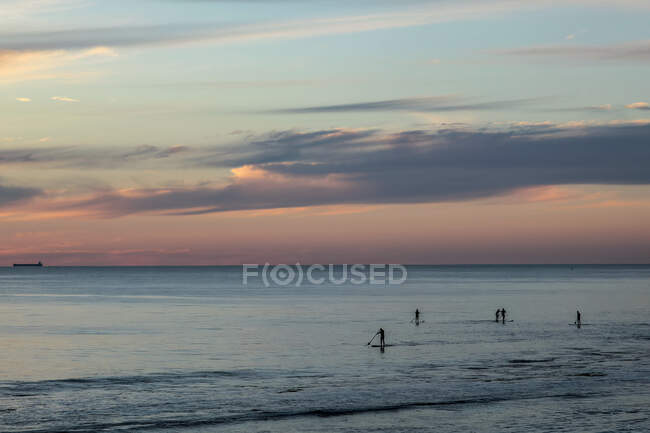 Groupe de personnes planche à pagaie au coucher du soleil, Cottesloe Beach, Australie occidentale — Photo de stock