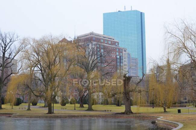 Public park, Boston, Massachusetts, Estados Unidos - foto de stock
