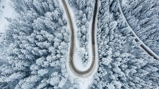 Vista aérea de uma estrada sinuosa através de uma floresta nevada, Bósnia e Herzegovina — Fotografia de Stock