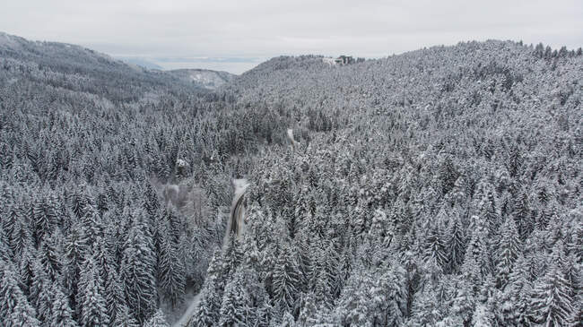 Road through a snowy forest, Mount Trebevic, Sarajevo, Bosnia and Herzegovina — Stock Photo