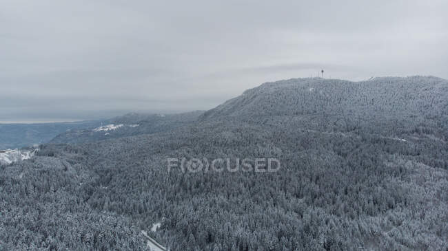 Monte Trebevic e floresta no inverno, Sarajevo, Bósnia e Herzegovina — Fotografia de Stock