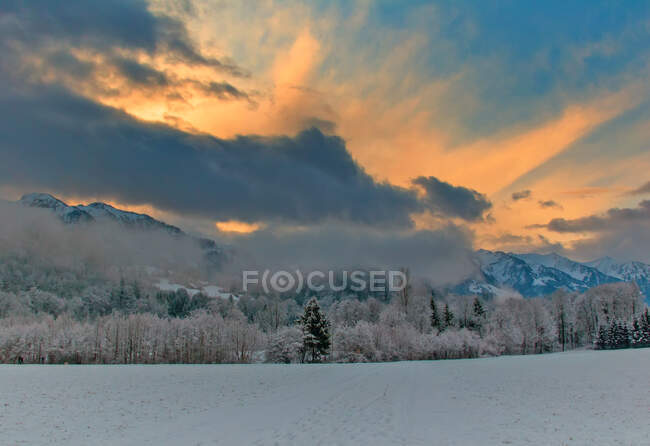 Альпійський ліс і гірський ландшафт на заході сонця (Швейцарія). — стокове фото