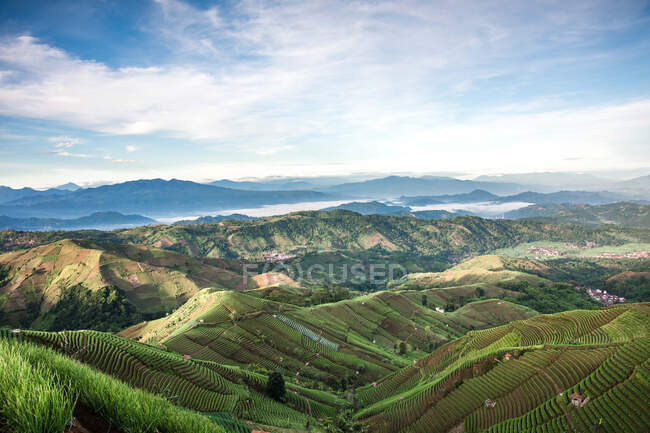 Luftaufnahme von saftig grünen Hügeln, Indonesien — Stockfoto