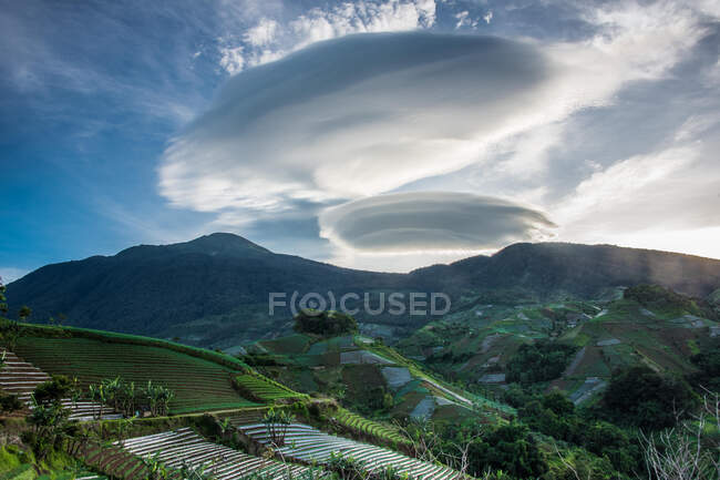 Landschaftsaufnahme von Paddy-Feldern, Indonesien — Stockfoto