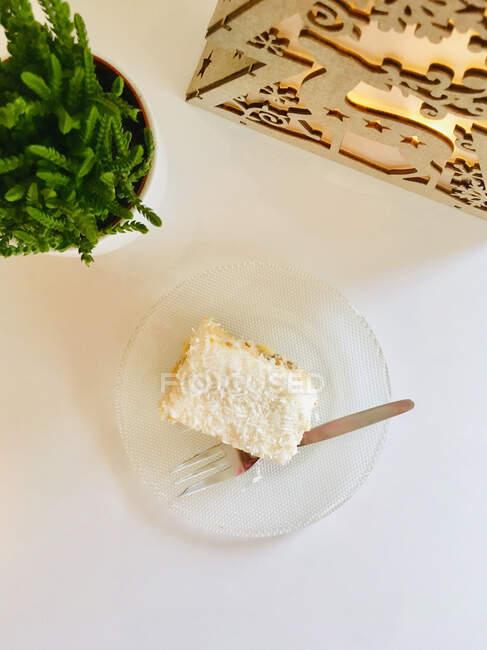 Шматочок кокосового торта на тарілці — стокове фото