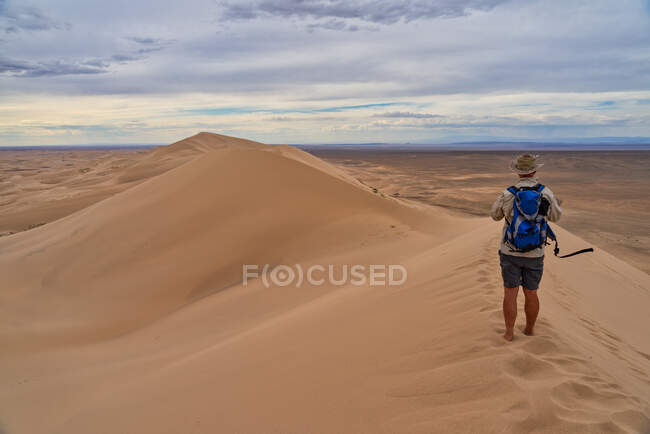 Randonneur debout dans la scène du désert, désert de Gobi, Mongolie — Photo de stock