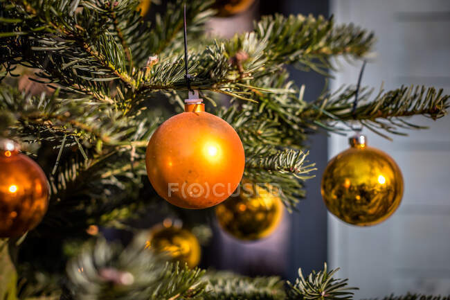 Primer plano de adornos colgando de un árbol de Navidad - foto de stock