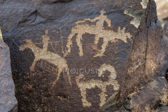 Antichi petroglifi su rocce, Khavstsgait, deserto del Gobi, Omnogovi, Mongolia — Foto stock