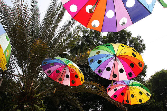 Multi-colored umbrellas hanging in a park, Indonesia — Stock Photo
