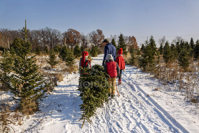 Father and three children carrying christmas tree in snowy outdoor scene — Stock Photo