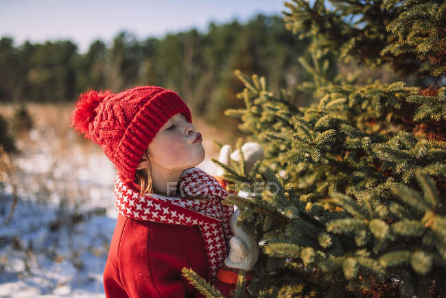 Menina de pé em um campo em uma fazenda de árvore de Natal beijando uma árvore, Estados Unidos — Fotografia de Stock
