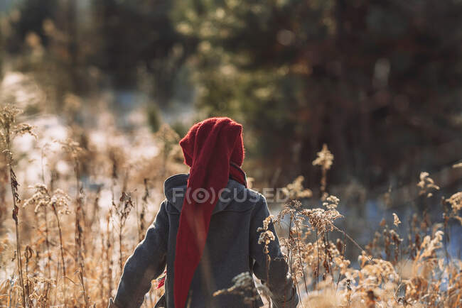 Garçon marchant dans un champ en hiver, États-Unis — Photo de stock