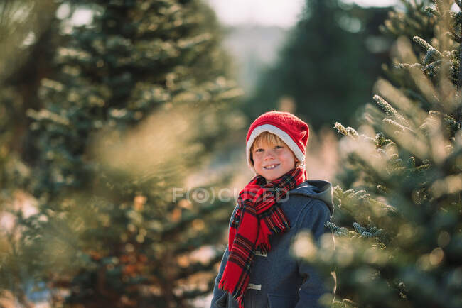 Garoto sorridente de pé em uma fazenda de árvore de Natal, Estados Unidos — Fotografia de Stock