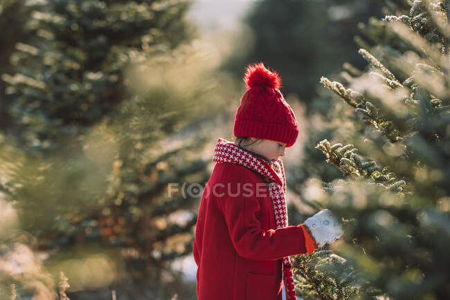 Fille debout dans un champ choisissant un arbre de Noël, États-Unis — Photo de stock