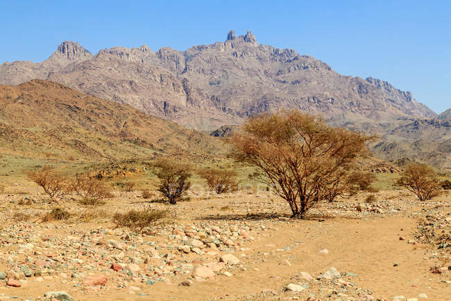 Paisaje de montaña del desierto, Arabia Saudita - foto de stock