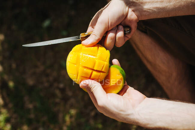 Mann bereitet eine Mango zu, Seychellen — Stockfoto