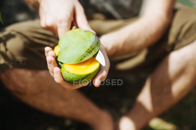 Uomo che taglia un mango con un coltello, Seychelles — Foto stock
