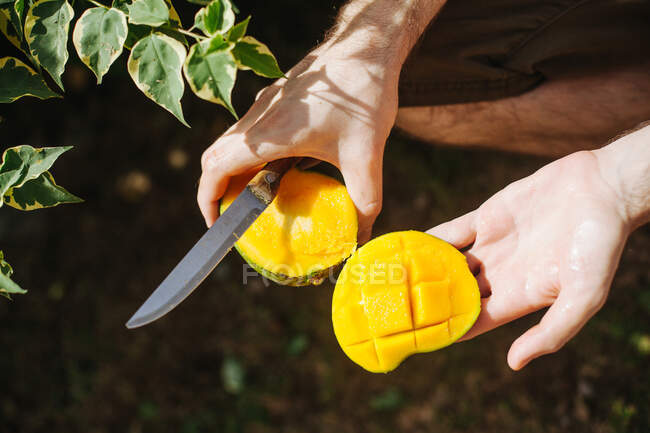 Man preparing a mango, Seychelles — Stock Photo