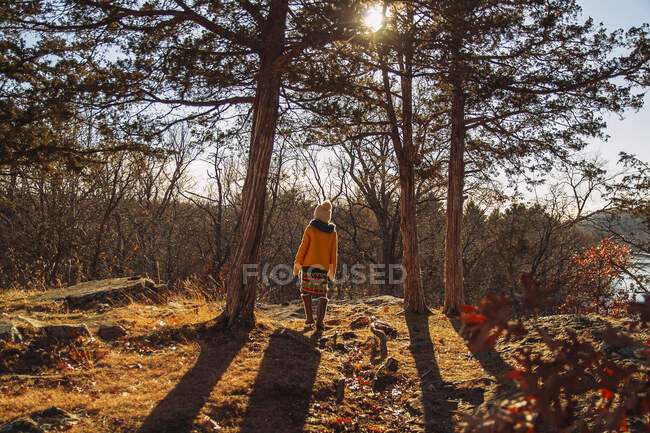 Rear view of a girl hiking in forest, United States — Stock Photo