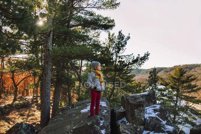 Boy hiking in forest, United States — Stock Photo