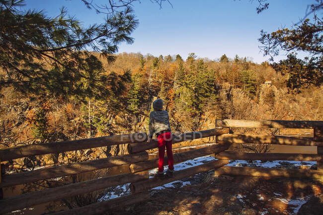Niño apoyado en una valla de madera en invierno, Estados Unidos - foto de stock