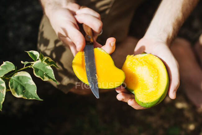 Hombre cortando un mango con cuchillo, Seychelles - foto de stock