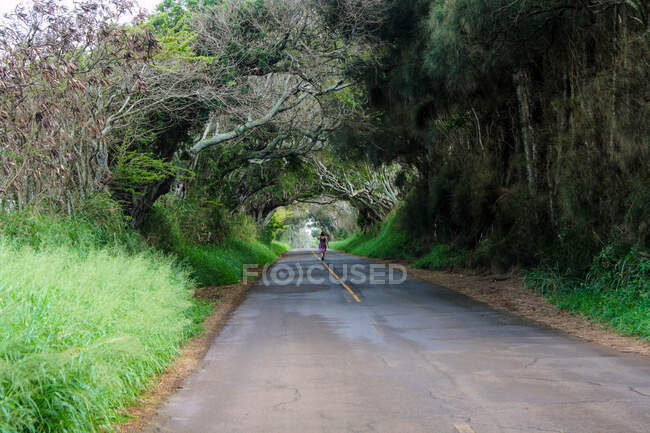 Visão traseira de uma mulher andando no meio de uma estrada treelined, Maui, Hawaii, Estados Unidos — Fotografia de Stock