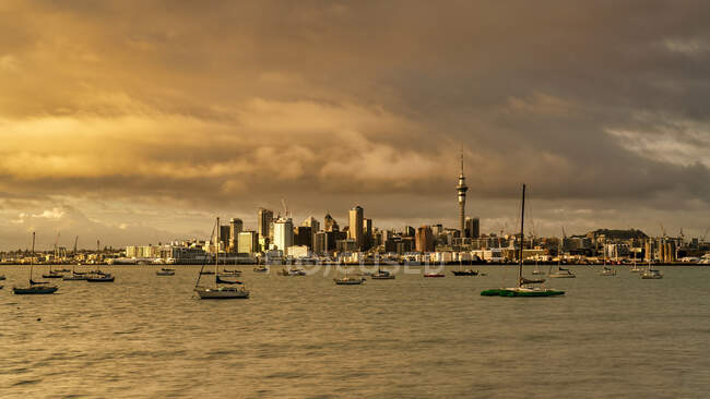 Golden hour sunrise in Auckland, North Island, New Zealand — Stock Photo